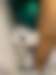 How To Get Rid Of Mice From My Home?